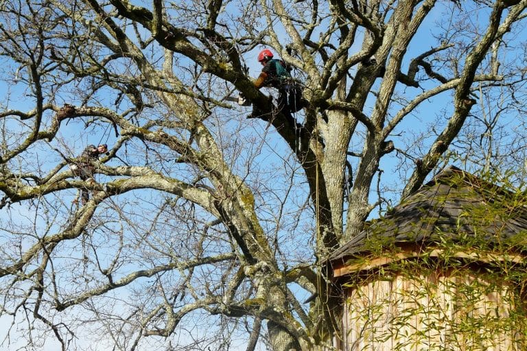 Evasion dans le Gîte à JT