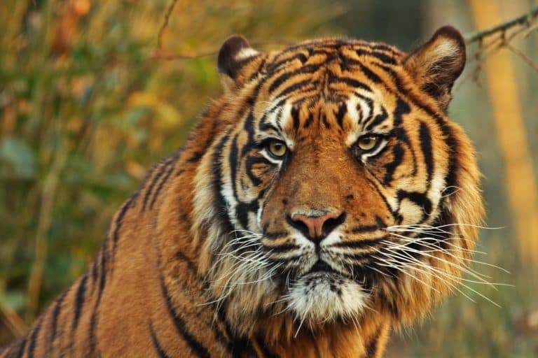 Partez à la découverte du zoo Bordeaux-Pessac
