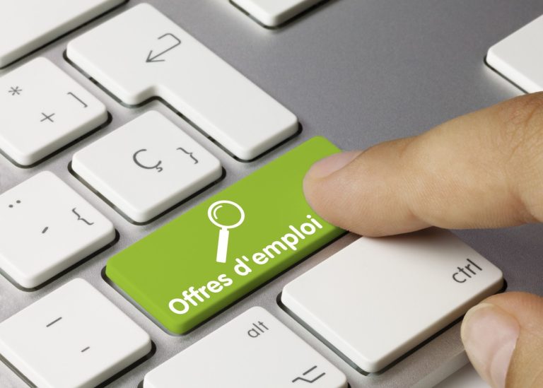 Quelles sont les tendances de l’emploi dans le secteur de l’informatique ?
