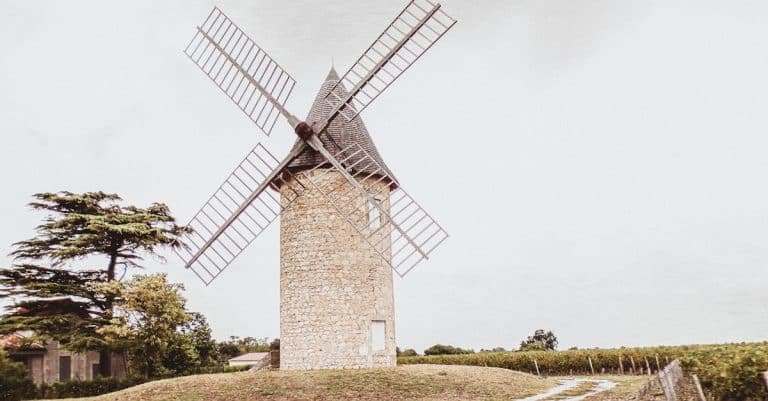 Où savourer les délices de Bordeaux lors de balades gourmandes ?