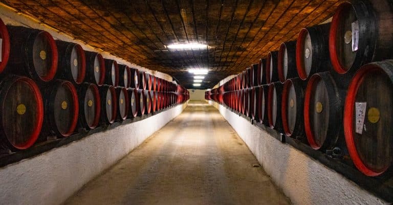 Pourquoi choisir Bordeaux pour une escapade œnologique ?