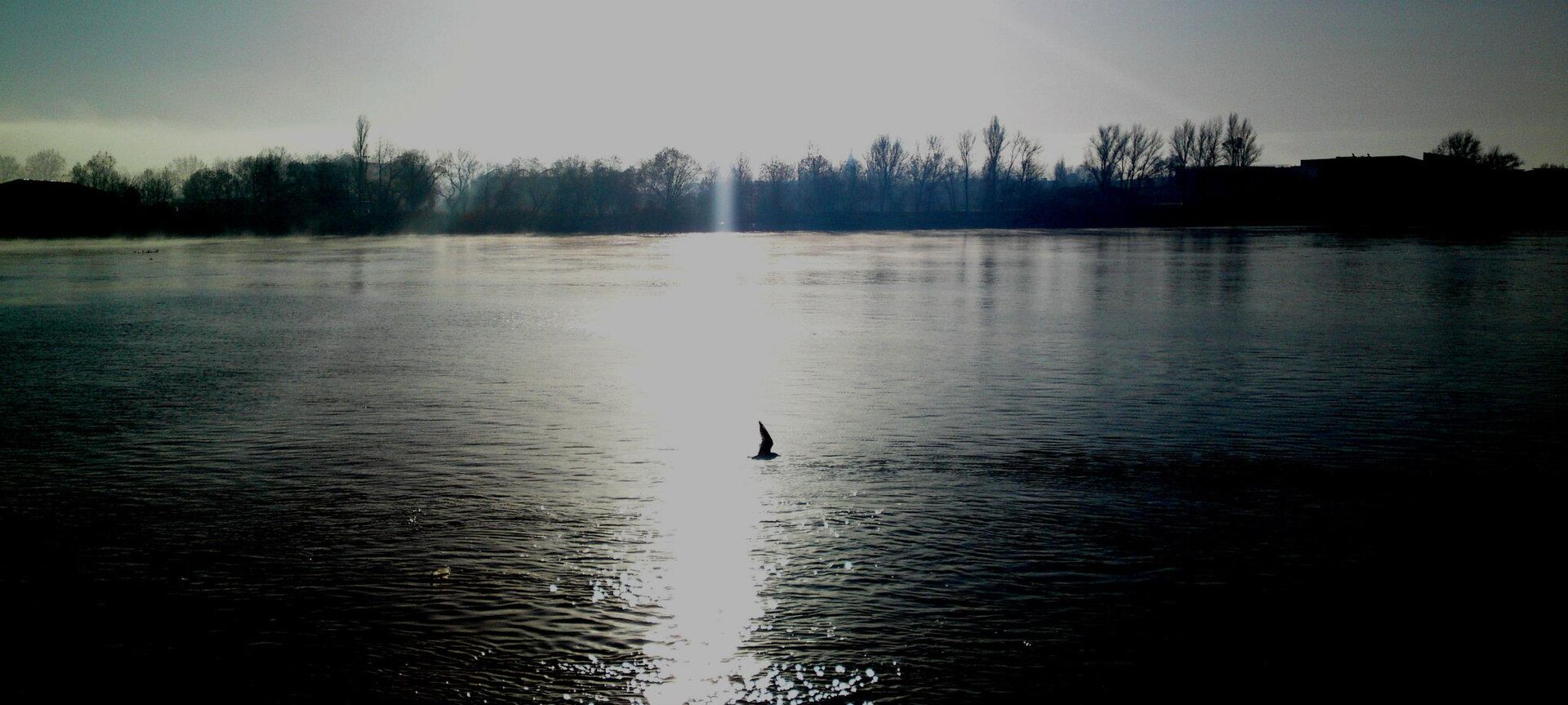 Climat de Bordeaux en automne : brouillard, vent et grandes marées